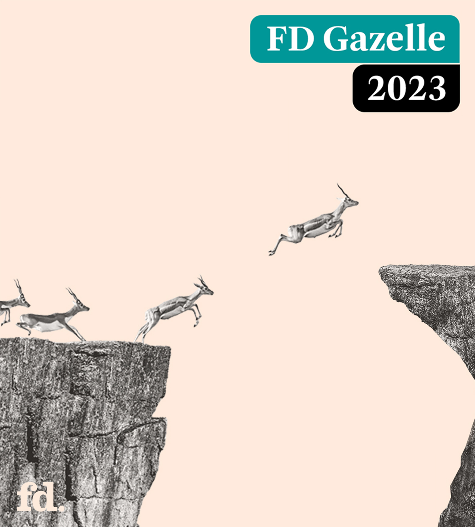 Global Mounts Group wins prestigious FD Gazelle award