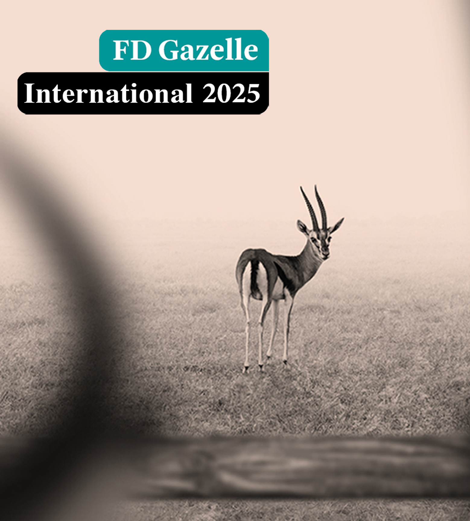 Global Mounts Group is awarded the FD Gazelle International 2025 title