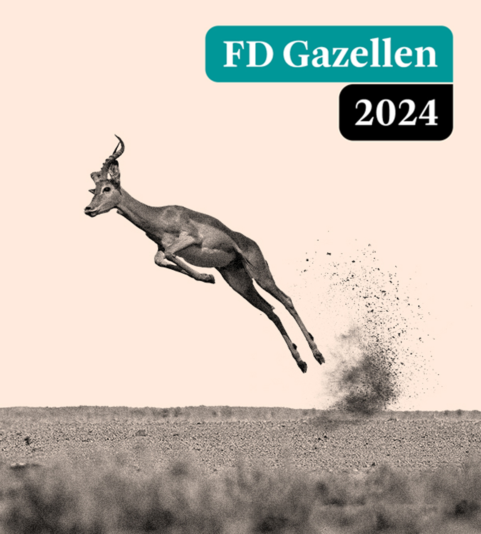 Global Mounts Group wins  the FD Gazelle Award 2024